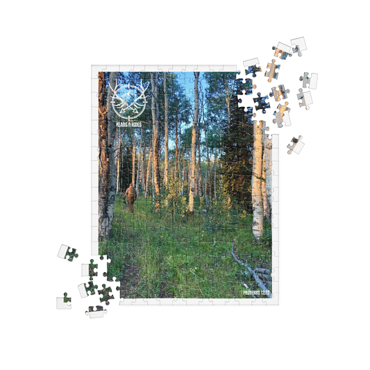 Heads & Hides - Pursuit Puzzles